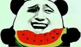 吃瓜就是关注吗,关注背后的社会现象解析